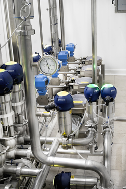 Egg dosing system
